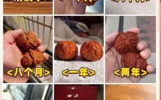 核桃非物质文化遗产（核桃非遗技艺传承流程怎么走）