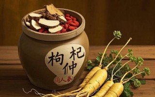 补肾非物质文化遗产（补肾非物质文化遗产有哪些传统技艺）