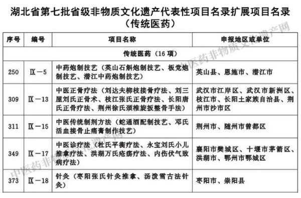 非物质文化遗产医药类(什么是中医药非物质文化遗产)-第3张图片-八三百科 非物质文化遗产医药类(什么是中医药非物质文化遗产)-第3张图片-八三百科