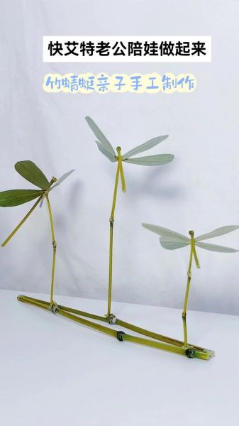 竹蜻蜓非物质文化遗产(竹蜻蜓非遗传承人制作技艺)-第2张图片-八三百科 竹蜻蜓非物质文化遗产(竹蜻蜓非遗传承人制作技艺)-第2张图片-八三百科