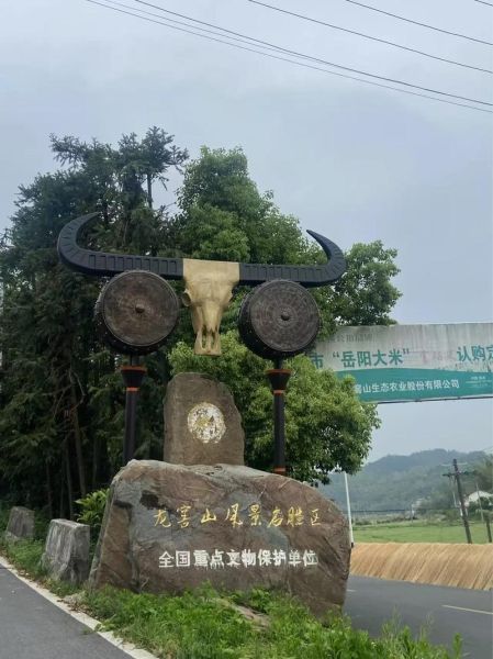 龙山非物质文化遗产(龙山非物质文化遗产有哪些值得体验)-第2张图片-八三百科 龙山非物质文化遗产(龙山非物质文化遗产有哪些值得体验)-第2张图片-八三百科