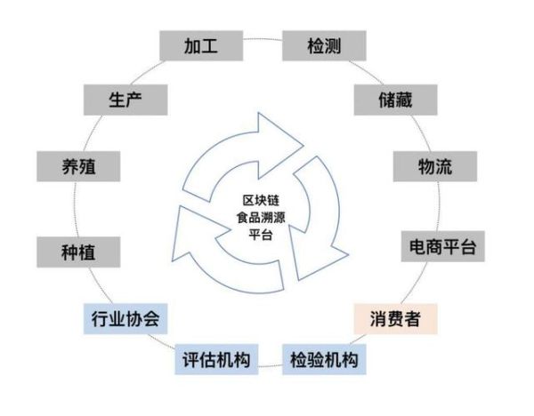 区块链产品(区块链产品有哪些适合新手入门)-第3张图片-八三百科 区块链产品(区块链产品有哪些适合新手入门)-第3张图片-八三百科
