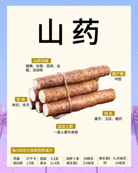 山药非物质文化遗产(山药非物质文化遗产是真的吗?)-第2张图片-八三百科 山药非物质文化遗产(山药非物质文化遗产是真的吗?)-第2张图片-八三百科