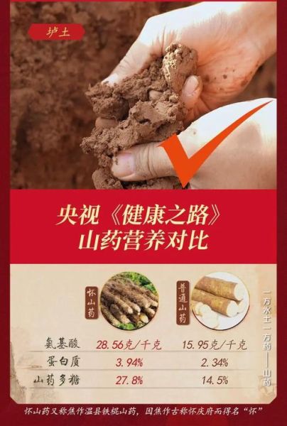山药非物质文化遗产(山药非物质文化遗产是真的吗?)-第3张图片-八三百科 山药非物质文化遗产(山药非物质文化遗产是真的吗?)-第3张图片-八三百科