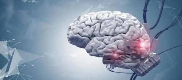 量子计算机技术创造人脑(量子计算机模拟人脑能成真吗)-第1张图片-八三百科 量子计算机技术创造人脑(量子计算机模拟人脑能成真吗)-第1张图片-八三百科