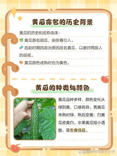 非物质文化遗产黄瓜(非遗黄瓜为什么能逆袭成网红)-第1张图片-八三百科 非物质文化遗产黄瓜(非遗黄瓜为什么能逆袭成网红)-第1张图片-八三百科