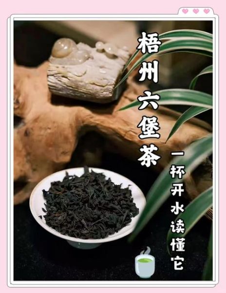 梧州国家非物质文化遗产(梧州六堡茶制作技艺全解析)-第2张图片-八三百科 梧州国家非物质文化遗产(梧州六堡茶制作技艺全解析)-第2张图片-八三百科
