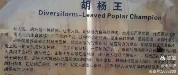 咸阳气候变迁历史简介(咸阳近三千年气候变迁简介)-第3张图片-八三百科 咸阳气候变迁历史简介(咸阳近三千年气候变迁简介)-第3张图片-八三百科