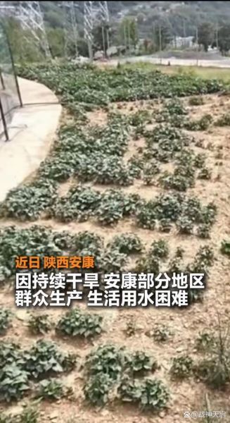陕西的历史气候变迁(陕西历史上有几次极端干旱)-第2张图片-八三百科 陕西的历史气候变迁(陕西历史上有几次极端干旱)-第2张图片-八三百科