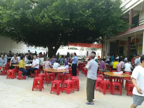 昌化镇历史气候变迁(昌化镇近百年气候变迁真相)-第3张图片-八三百科 昌化镇历史气候变迁(昌化镇近百年气候变迁真相)-第3张图片-八三百科