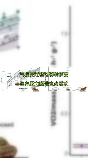 气候变迁与历史进程(气候变迁如何塑造历史进程)-第2张图片-八三百科 气候变迁与历史进程(气候变迁如何塑造历史进程)-第2张图片-八三百科