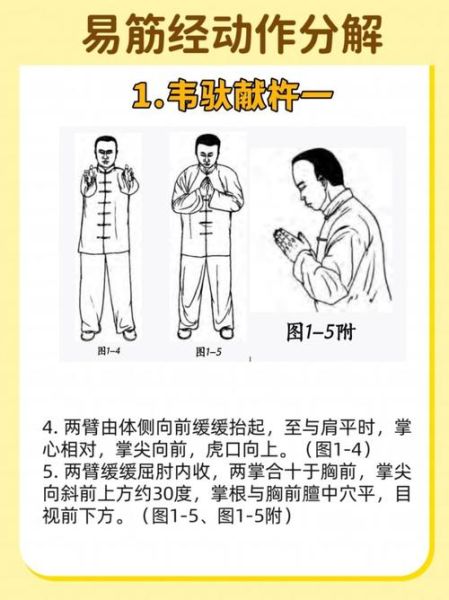 非物质文化遗产 易筋经(非物质文化遗产易筋经自学入门全攻略)-第2张图片-八三百科 非物质文化遗产 易筋经(非物质文化遗产易筋经自学入门全攻略)-第2张图片-八三百科