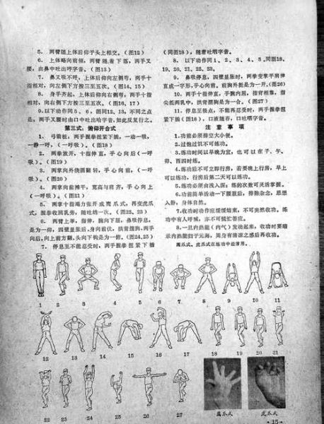 非物质文化遗产 易筋经(非物质文化遗产易筋经自学入门全攻略)-第1张图片-八三百科 非物质文化遗产 易筋经(非物质文化遗产易筋经自学入门全攻略)-第1张图片-八三百科