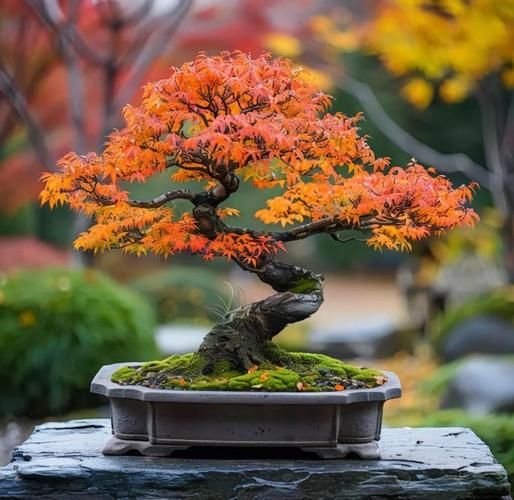非物质文化遗产盆景(非物质文化遗产盆景入门指南)-第3张图片-八三百科 非物质文化遗产盆景(非物质文化遗产盆景入门指南)-第3张图片-八三百科