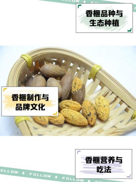 琴溪非物质文化遗产(琴溪香榧非遗制作方法新手完整教程)-第2张图片-八三百科 琴溪非物质文化遗产(琴溪香榧非遗制作方法新手完整教程)-第2张图片-八三百科