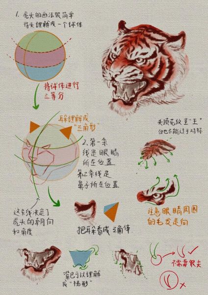 画虎的非物质文化遗产(画虎的非遗有哪些门派教程)-第3张图片-八三百科 画虎的非物质文化遗产(画虎的非遗有哪些门派教程)-第3张图片-八三百科