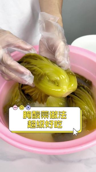 腌酸菜非物质文化遗产(腌酸菜非遗申请流程新手教程)-第2张图片-八三百科 腌酸菜非物质文化遗产(腌酸菜非遗申请流程新手教程)-第2张图片-八三百科