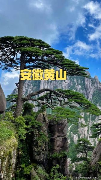 黄山 非物质文化遗产(黄山有哪些国家级非物质文化遗产)-第3张图片-八三百科 黄山 非物质文化遗产(黄山有哪些国家级非物质文化遗产)-第3张图片-八三百科