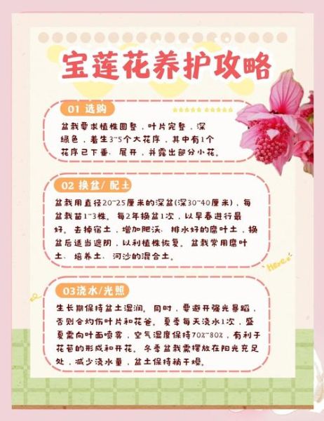 建莲非物质文化遗产(建莲非物质文化遗产技艺入门指南)-第3张图片-八三百科 建莲非物质文化遗产(建莲非物质文化遗产技艺入门指南)-第3张图片-八三百科