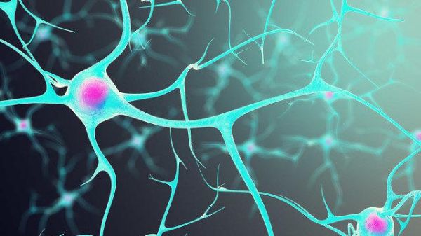 燕飞 MIT 超导量子计算(燕飞MIT超导量子计算论文在哪里看)-第2张图片-八三百科 燕飞 MIT 超导量子计算(燕飞MIT超导量子计算论文在哪里看)-第2张图片-八三百科