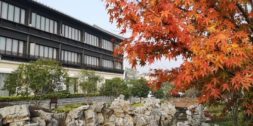 常熟量子计算技术服务中心(常熟量子计算技术服务中心靠谱吗)-第2张图片-八三百科 常熟量子计算技术服务中心(常熟量子计算技术服务中心靠谱吗)-第2张图片-八三百科