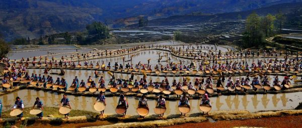 梯田非物质文化遗产(梯田非物质文化遗产有哪些项目)-第3张图片-八三百科 梯田非物质文化遗产(梯田非物质文化遗产有哪些项目)-第3张图片-八三百科