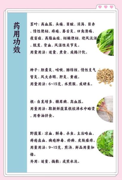 菠菜非物质文化遗产（菠菜非物质文化遗产真的存在吗）-第2张图片-八三百科