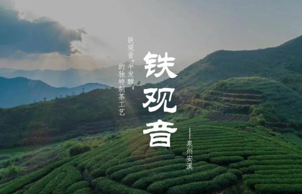 安溪非物质文化遗产遗产(安溪非物质文化遗产有哪些值得一看)-第3张图片-八三百科 安溪非物质文化遗产遗产(安溪非物质文化遗产有哪些值得一看)-第3张图片-八三百科