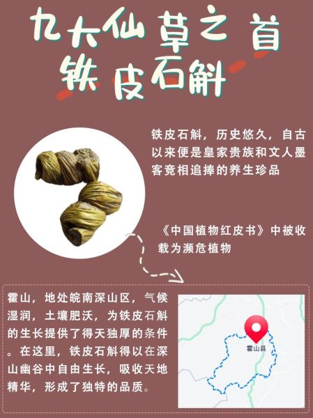 非物质文化遗产石斛（非物质文化遗产石斛怎么入门收藏）-第1张图片-八三百科