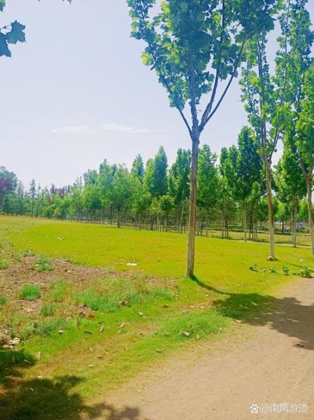 沣西新城非物质文化遗产（沣西新城非遗研学路线怎么走）-第2张图片-八三百科