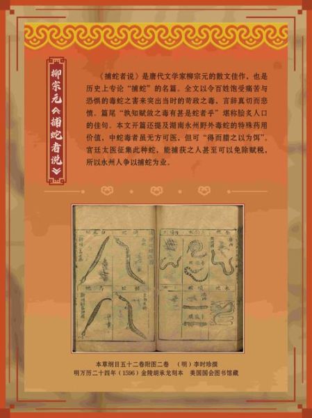 金龙街道非物质文化遗产(金龙街道非遗保护站入门指南)-第1张图片-八三百科 金龙街道非物质文化遗产(金龙街道非遗保护站入门指南)-第1张图片-八三百科