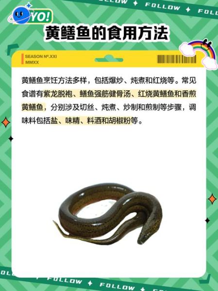 黄鳝非物质文化遗产（黄鳝制作技艺是国家级非遗吗？答：属于湖北省级非遗，正申报国家级。）-第1张图片-八三百科