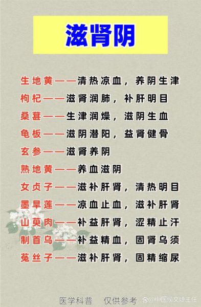 非物质文化遗产肾(如何保护非遗肾调养技艺)-第1张图片-八三百科 非物质文化遗产肾(如何保护非遗肾调养技艺)-第1张图片-八三百科