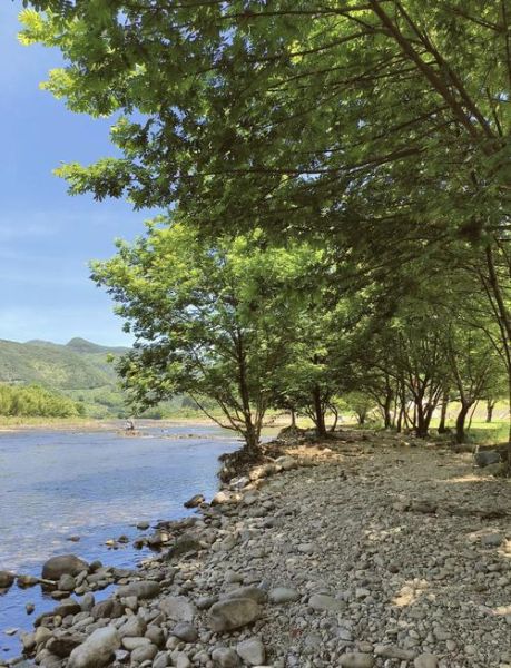 非物质文化遗产溪滩(溪滩非遗在哪里可以体验到)-第2张图片-八三百科 非物质文化遗产溪滩(溪滩非遗在哪里可以体验到)-第2张图片-八三百科