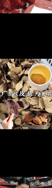 非物质文化遗产广东陈皮(广东非遗陈皮怎么保存)-第1张图片-八三百科 非物质文化遗产广东陈皮(广东非遗陈皮怎么保存)-第1张图片-八三百科