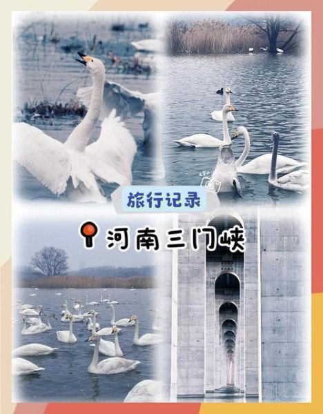 三门峡非物质文化遗产（三门峡非遗旅游体验指南）-第2张图片-八三百科