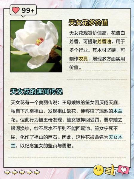 天须花花非物质文化遗产（天须花花非遗怎么学？0基础入门教程）-第2张图片-八三百科