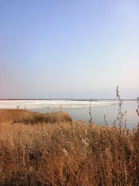 盐池非物质文化遗产（盐池非遗文化有哪些？5分钟带小白一次看懂）-第3张图片-八三百科