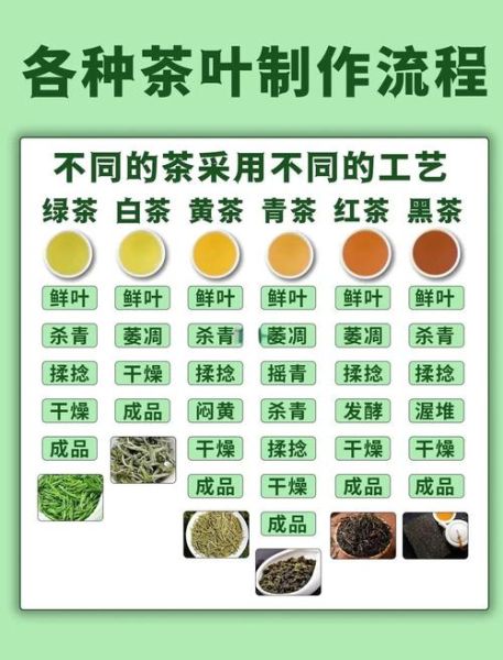 非物质文化遗产制茶(传统制茶技艺非遗全解:新手如何入门?)-第3张图片-八三百科 非物质文化遗产制茶(传统制茶技艺非遗全解:新手如何入门?)-第3张图片-八三百科
