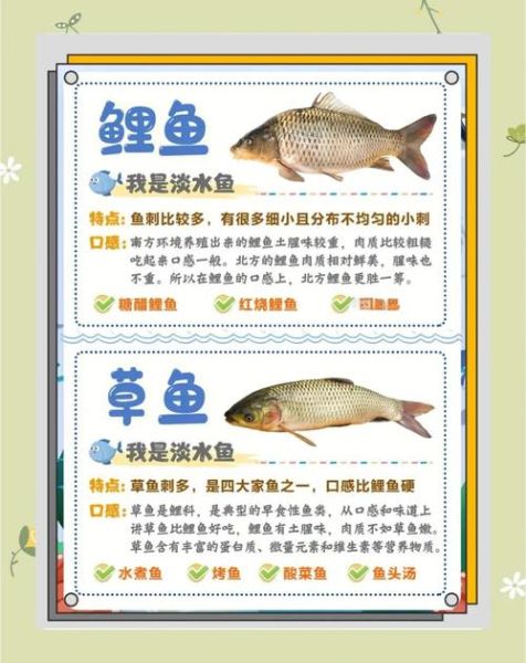 中国非物质文化遗产鱼种（中国非遗鱼种有哪些：新手入门指南）-第1张图片-八三百科