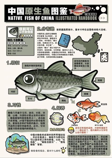 中国非物质文化遗产鱼种（中国非遗鱼种有哪些：新手入门指南）-第2张图片-八三百科