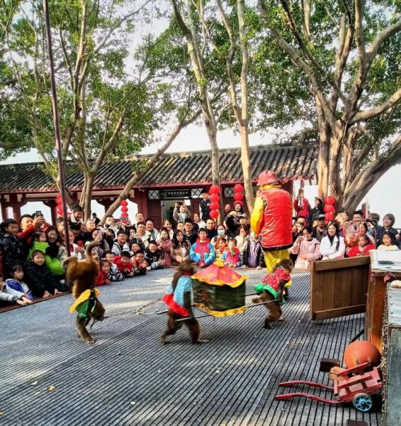 非物质文化遗产耍猴（非遗耍猴还能继续存在吗）-第3张图片-八三百科