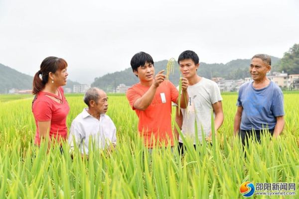 羊古坳镇非物质文化遗产(羊古坳镇非遗有哪些?)-第1张图片-八三百科 羊古坳镇非物质文化遗产(羊古坳镇非遗有哪些?)-第1张图片-八三百科