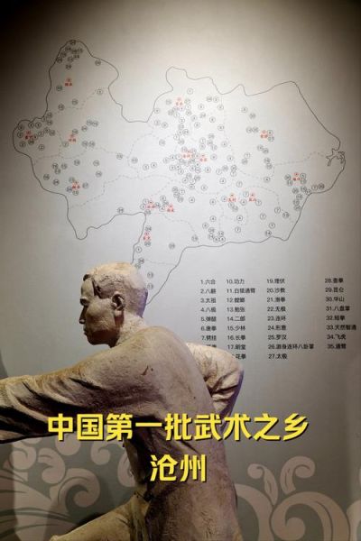 武术非物质文化遗产展（武术非遗展新手怎么看懂？）-第1张图片-八三百科