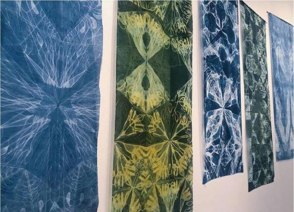 蓝布非物质文化遗产（蓝布非遗怎么染？新手入门全流程）-第1张图片-八三百科