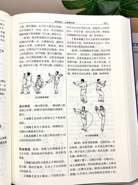 非物质文化遗产道门太极（道门太极入门：零基础也能学会）-第3张图片-八三百科