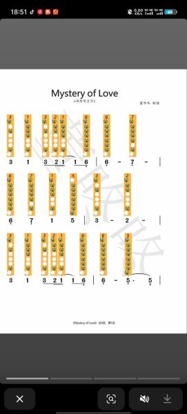 非物质文化遗产排箫（初学排箫多久能吹出完整曲子）-第2张图片-八三百科