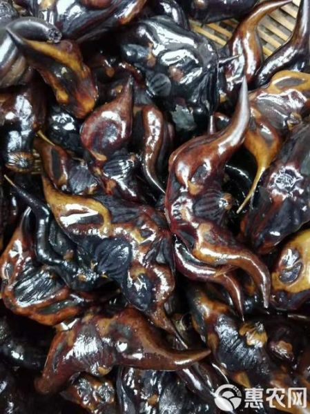 非物质文化遗产菱角（非遗菱角：为什么江南人都说它是水中宝）-第1张图片-八三百科