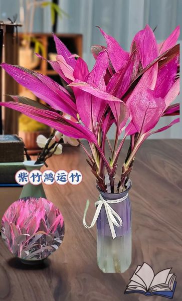 紫竹非物质文化遗产（紫竹非遗新手入门看这里）-第3张图片-八三百科