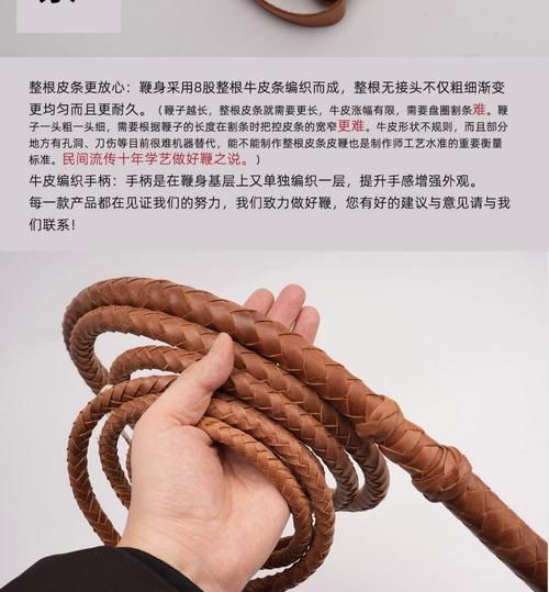 非物质文化遗产长鞭-第2张图片-八三百科